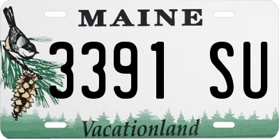 ME license plate 3391SU