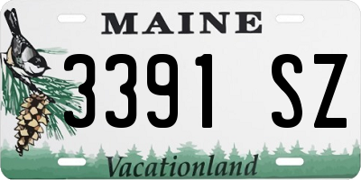ME license plate 3391SZ