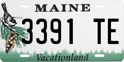 ME license plate 3391TE