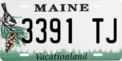 ME license plate 3391TJ