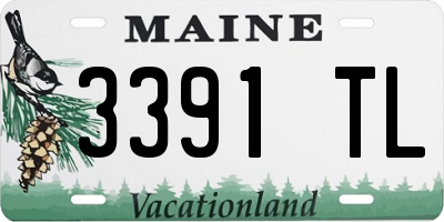 ME license plate 3391TL