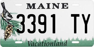 ME license plate 3391TY