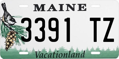 ME license plate 3391TZ