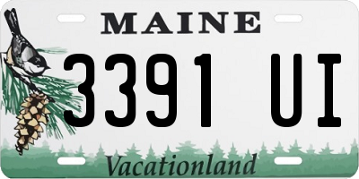 ME license plate 3391UI