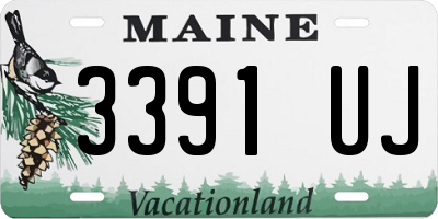 ME license plate 3391UJ