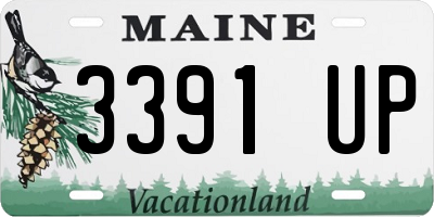 ME license plate 3391UP