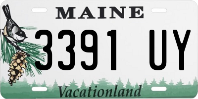 ME license plate 3391UY