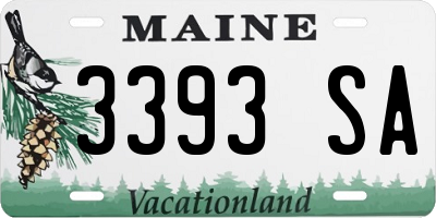 ME license plate 3393SA