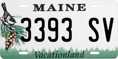 ME license plate 3393SV