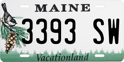 ME license plate 3393SW
