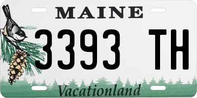 ME license plate 3393TH