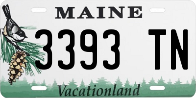 ME license plate 3393TN