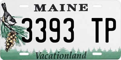 ME license plate 3393TP
