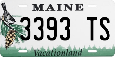 ME license plate 3393TS