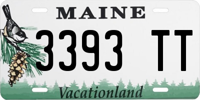 ME license plate 3393TT