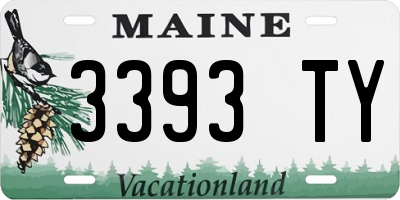 ME license plate 3393TY