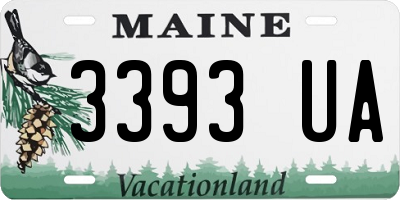 ME license plate 3393UA