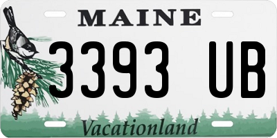 ME license plate 3393UB