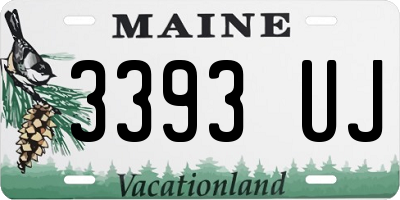 ME license plate 3393UJ