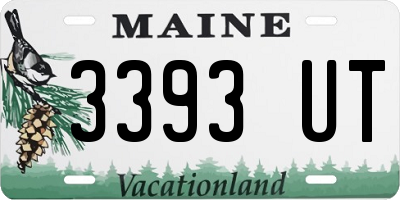 ME license plate 3393UT