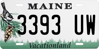 ME license plate 3393UW