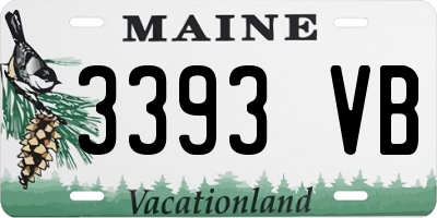 ME license plate 3393VB