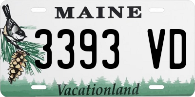 ME license plate 3393VD