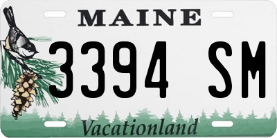 ME license plate 3394SM