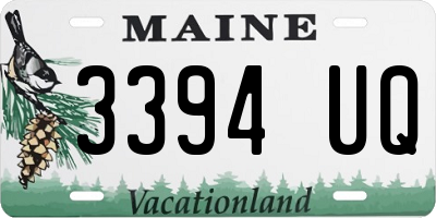 ME license plate 3394UQ