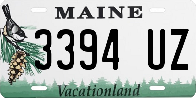 ME license plate 3394UZ