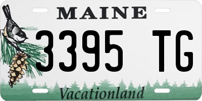 ME license plate 3395TG
