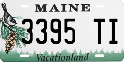 ME license plate 3395TI