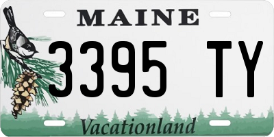 ME license plate 3395TY