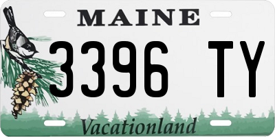 ME license plate 3396TY