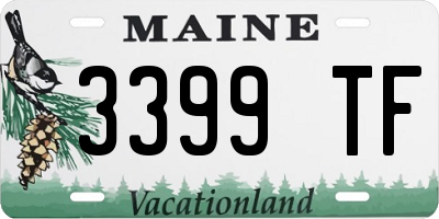 ME license plate 3399TF