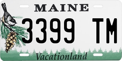 ME license plate 3399TM
