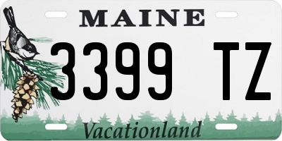 ME license plate 3399TZ