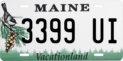 ME license plate 3399UI