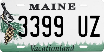 ME license plate 3399UZ