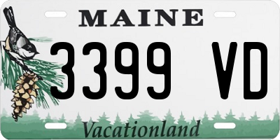 ME license plate 3399VD