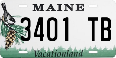 ME license plate 3401TB