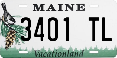 ME license plate 3401TL