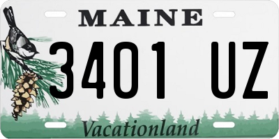 ME license plate 3401UZ