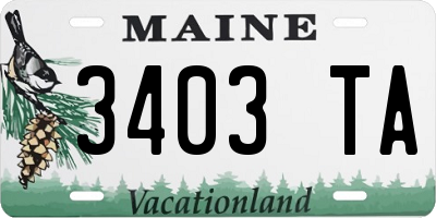 ME license plate 3403TA
