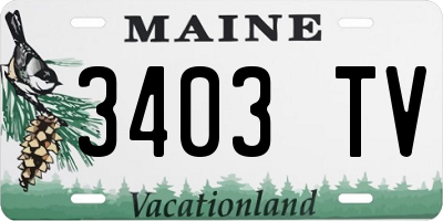 ME license plate 3403TV