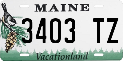 ME license plate 3403TZ