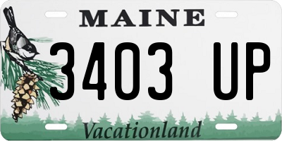 ME license plate 3403UP