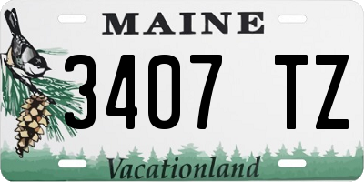 ME license plate 3407TZ