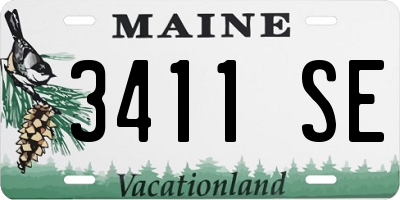 ME license plate 3411SE