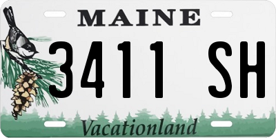 ME license plate 3411SH